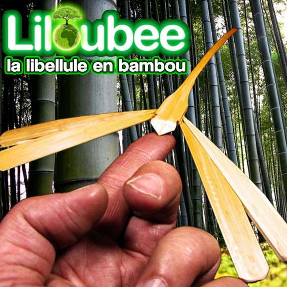 La Libellule en Bambou du Vietnam Artisanat Grossiste Asie 50 Liloubee
